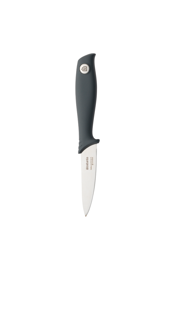 BRABANTIA mizojamais nazis (S), dark grey